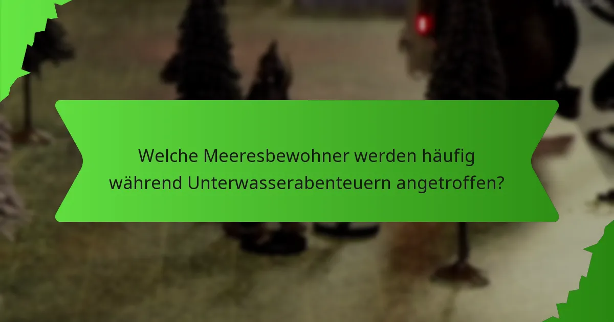 Welche Meeresbewohner werden häufig während Unterwasserabenteuern angetroffen?